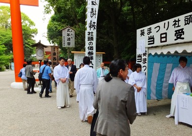 Ļ�ﲣ��������