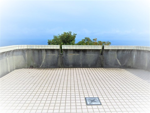 ⓪��Ʋ��Ÿ˾��ĺ��