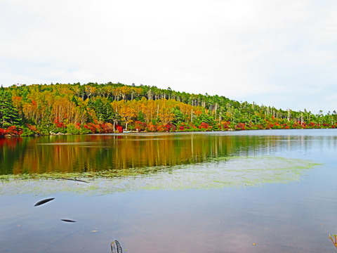 6¡¦Çò¶ðÃÓ¤â¥ß¥é¡¼¥ì¡¼¥¯