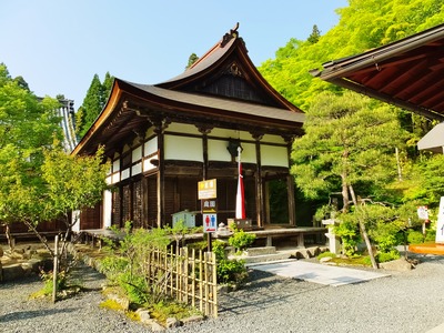 ��������˷��������ưƲ