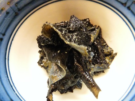 Å·²¼¤ÎÄÁÌ£¡¢´äÂû¡Ê¤¤¤ï¤¿¤±¡Ë¤Ç¤¹