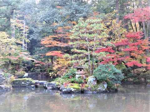 ¾åÃʤÎÃӤ˿¢¤ï¤ëÏ¢Íý¤Î¾¾