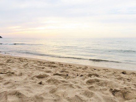 ����ζץ���