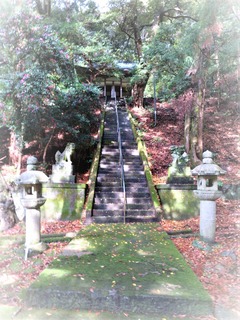 苔生した参道 常神社