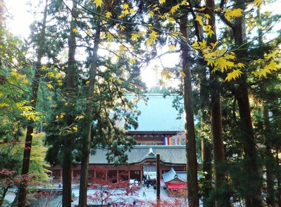 ʸ¼ìϰ¤«¤éº¬ËÜÃæÆ²¤ò