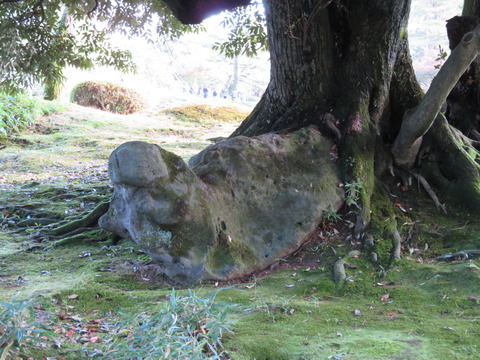 �� ����  ��ϻ������������Фΰ��