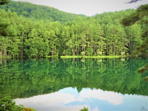 1¸æ¼Í¼¯ÃÓ¡¡¥ß¥é¡¼¥ì¥¤¥¯