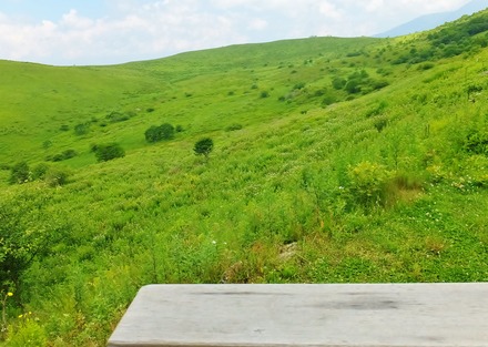 7・ころぼっくる指定席