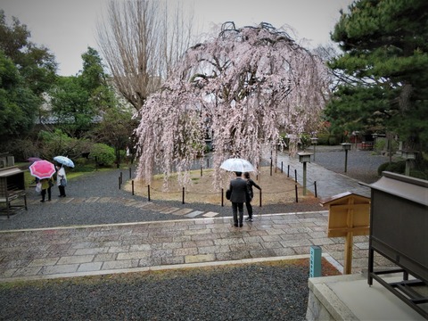 �����Ȱ�����