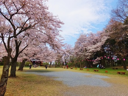 6���컳����δ�