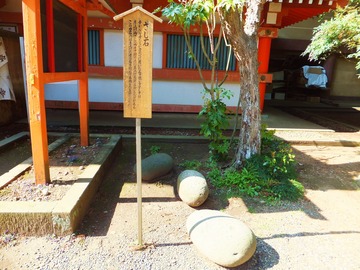 ����٤��Ѥ����ɤ����С�