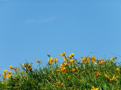 ���Ϥζ��˥ȥӥ��ޥ��󥾥����褯���礦