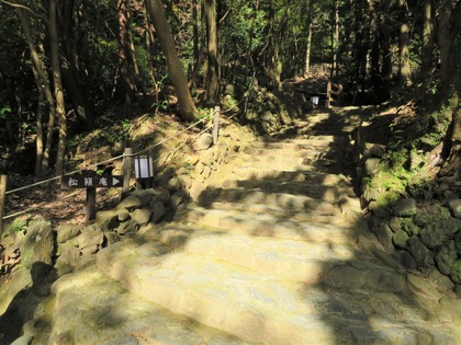 ÊÝÄÅÀîÍ·ÊâÆ»¤ÎÆÍ¤Åö¤ê¤«¤é¾¾äݰäؤÎÀÐÃÊ