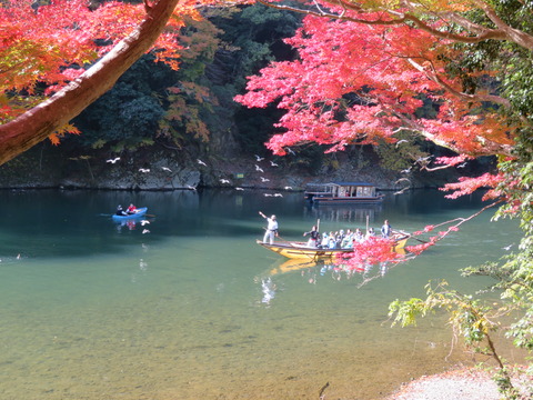 ÊÝÄÅÀî²¼¤ê¡¡Á¥Æ¬¤¬³û¤ò¸Æ¤Ó´ó¤»¤Æ¤ß¤»¤ë