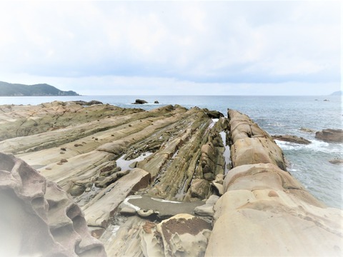 ε�����ߤδ񾡴�䡡˪���㹽¤