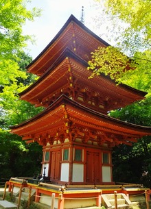 10������������������