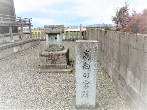 �������������