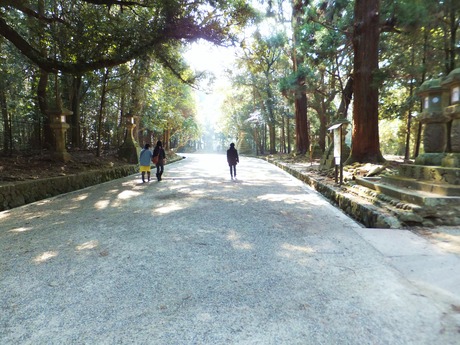 ½ÕÆüÂç¼Ò»²Æ»