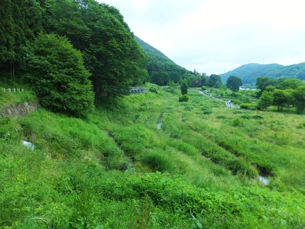 �ۤ���Ƹ�ظ�������