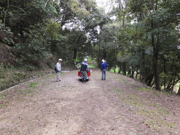 軽々と下る作業の人々