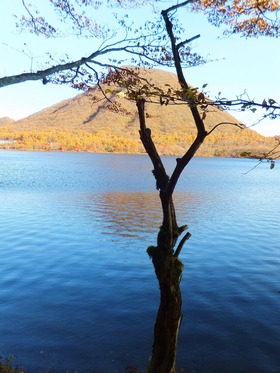 ����äƤ��ޤ�