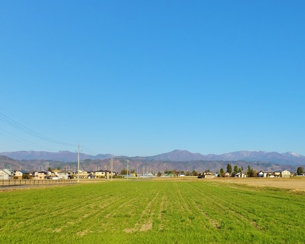 8����դΰ��������