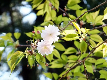 ��­������