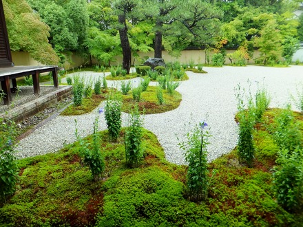 �౫�˱Ǥ������