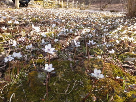 15�����줤�Ǥ�