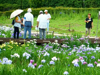 �֤��礦�֤�ڤ���͡�