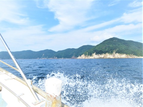 ÂçÆ²³¤´ßÇȤò½³¤ë