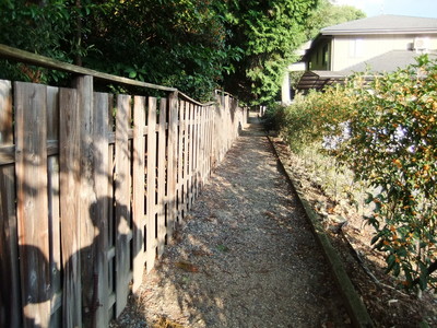 �￴����������˾�Įʸ��