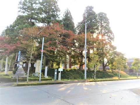 ÃæÀ¤¤Î°Èë¸æ½ê¤ò°Ï¤ó¤ÀÅÚÎݤ¬»Ä¤ë