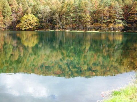 ���̤ι���