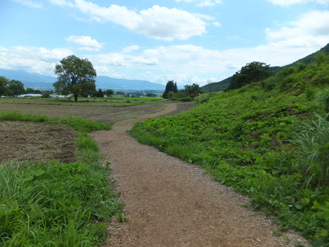 �֤Ҥޤ��׿�־����ظ���������ƻ