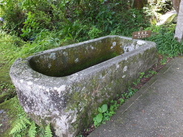 16������������Ϥ