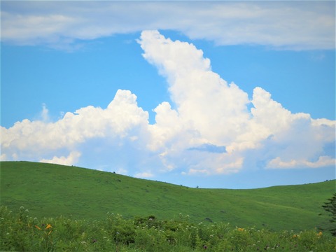 ¹â¸¶¤Î²Æ¡¡¥Ë¥Ã¥³¥¦¥¥¹¥²¤È²Æ±À