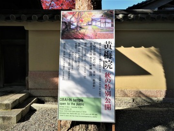 ���������߱����������̸���