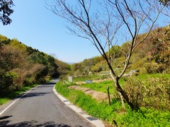 右手が茶臼山、下ると吉備津神社