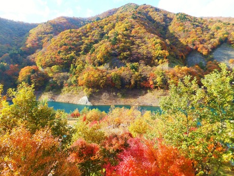 �������Ф��������դ�©���ݤॳ��ȥ饹��