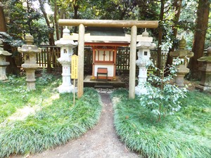 �ݼҡ��ٺ��ʎ������˿���