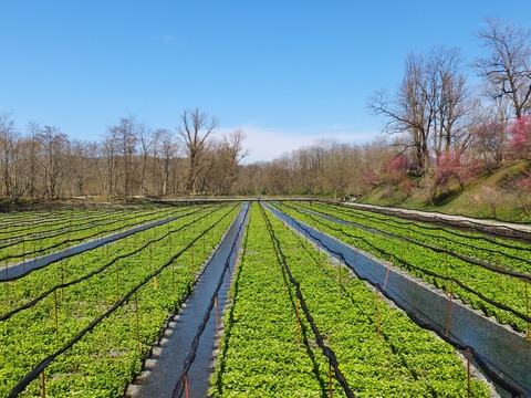 4���蘆���İ�˾