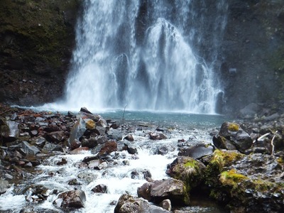 ��ο����Ǵ䤬������Ƥ椯