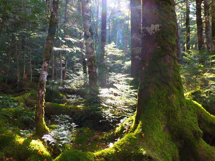 3���ݤȸ�����