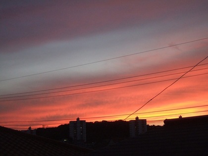 �̤ζ����֤����ܤζڱ���