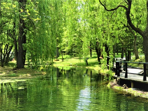 ¿¿Æé¥¬¡¼¥Ç¥ó¡¡ÎФζ¥±é