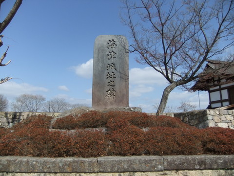 �������粣�˳��ž�������