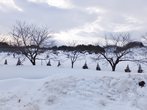 9��ʿ�¤����錄�����