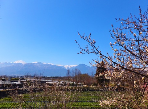 1�������