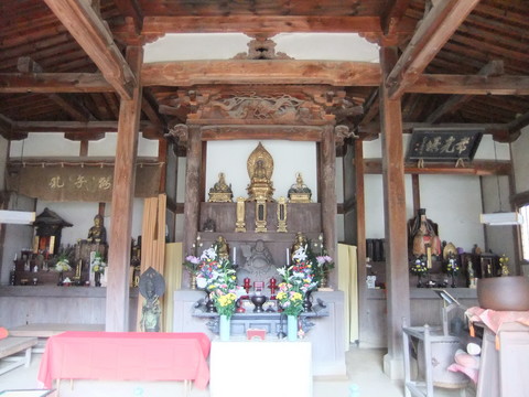 ��Ʋ������º